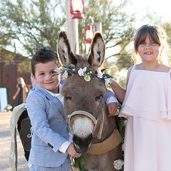 Arizona Wedding Beer Burros