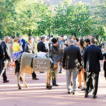 Arizona Wedding Beer Burros