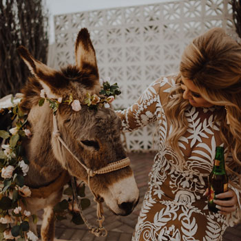 Arizona Wedding Beer Burros